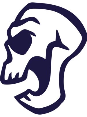 Elements Skulls logo template 40