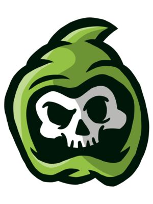 Elements Skulls logo template 112