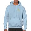 Heavy Blend Adult Hooded Sweatshirt Thumbnail