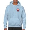 Heavy Blend Adult Hooded Sweatshirt Thumbnail