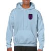 Heavy Blend Adult Hooded Sweatshirt Thumbnail