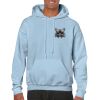 Heavy Blend Adult Hooded Sweatshirt Thumbnail