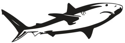 AR5 Shark 15 RQC