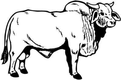 COW015