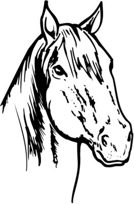 HORSE011