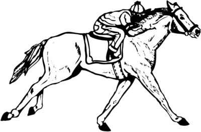 HORSE053