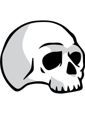 Elements Skull logo template 03