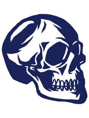 Elements Skulls logo template 139