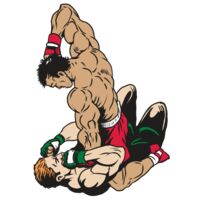 AR22 MIXED MARTIAL 07 RQC Thumbnail