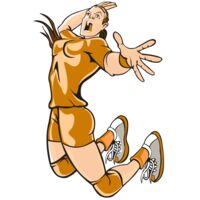 VOLLEY  PLAYER06 V RQC Thumbnail