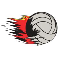 VOLLEYBALL TEARING RQC Thumbnail