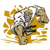 AR MARTIAL ARTS 10 RC Thumbnail