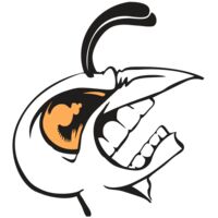 BAW BEE 19 RC Thumbnail