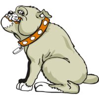 AR BDOG 26 RC Thumbnail