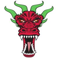 BAW DRAGON 09 RC Thumbnail