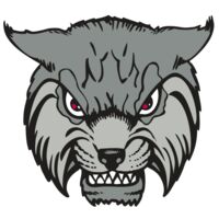 BAW BOBCAT 02 RC Thumbnail