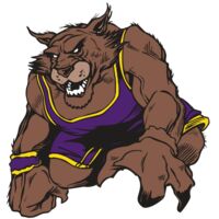 AR WILDCAT 23 RC Thumbnail