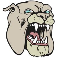 AR BDOG 42 RC Thumbnail