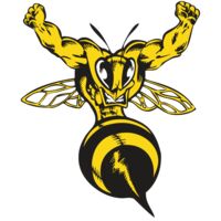 BAW BEE 04 RC Thumbnail