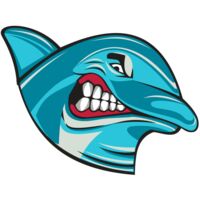 DOLPHIN HD0504 RQC Thumbnail