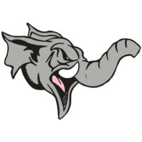 AR5 Elephant 03 RQC Thumbnail