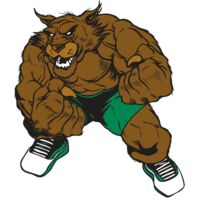 AR WILDCAT 45 RC Thumbnail