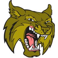 AR5 BOBCAT 20 RQC Thumbnail