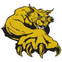 AR WILDCAT 26 RC Thumbnail