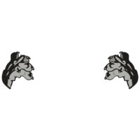 AR BDOG 91 RC Thumbnail