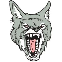 AR32 COYOTE 11 RQC Thumbnail