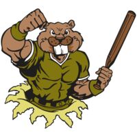 AR4 BEAVER 02 RQC Thumbnail