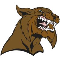 AR5 BOBCAT 21 RQC Thumbnail