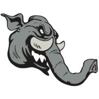 AR5 Elephant 06 RQC Thumbnail