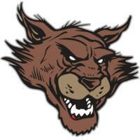 AR WILDCAT 11 RC Thumbnail