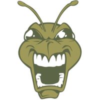 BAW BEE 13 RC Thumbnail