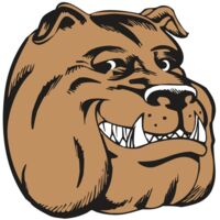 BAW BULLDOG 04 RC Thumbnail