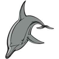 BAW DOLPHIN 03 RC Thumbnail