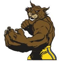 AR WILDCAT 48 RC Thumbnail