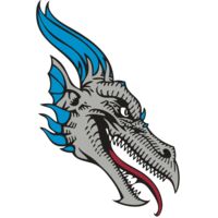 BAW DRAGON 07 RC Thumbnail