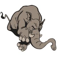 AR5 Elephant 17 RQC Thumbnail