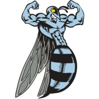 BAW BEE 08 RC Thumbnail