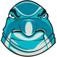 DOLPHIN HD0502 RQC Thumbnail