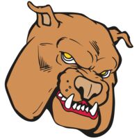 AR BDOG 41 RC Thumbnail