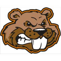 AR BEAVER 11 RC Thumbnail