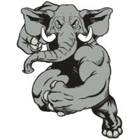 AR ELEPH 18 RC Thumbnail