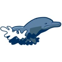 AR DOLPIN 10 RC Thumbnail