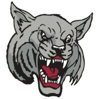 AR WILDCAT 42 RC Thumbnail