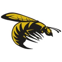 AR BEE 49 RC Thumbnail