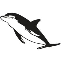 AR DOLPIN 13 RC Thumbnail