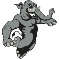 AR5 Elephant 09 RQC Thumbnail